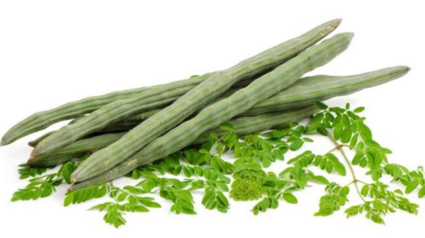 Know benefits of drumstick plant, these diseases including diabetes will go away